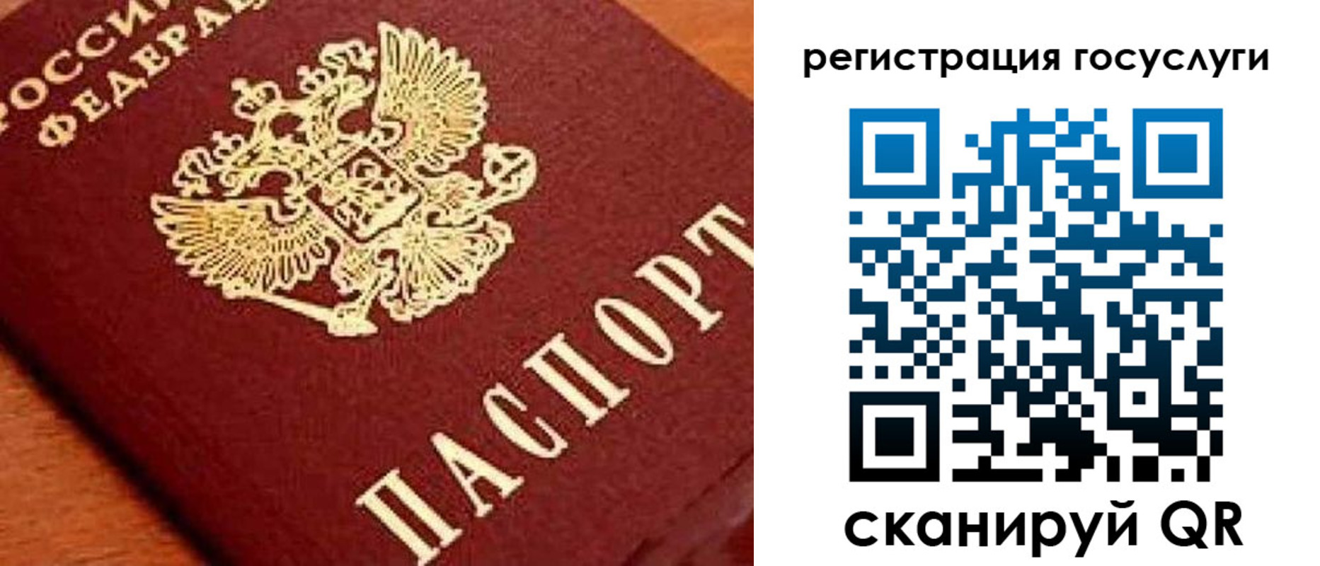 временная регистрация недорого в Зеленоградске
